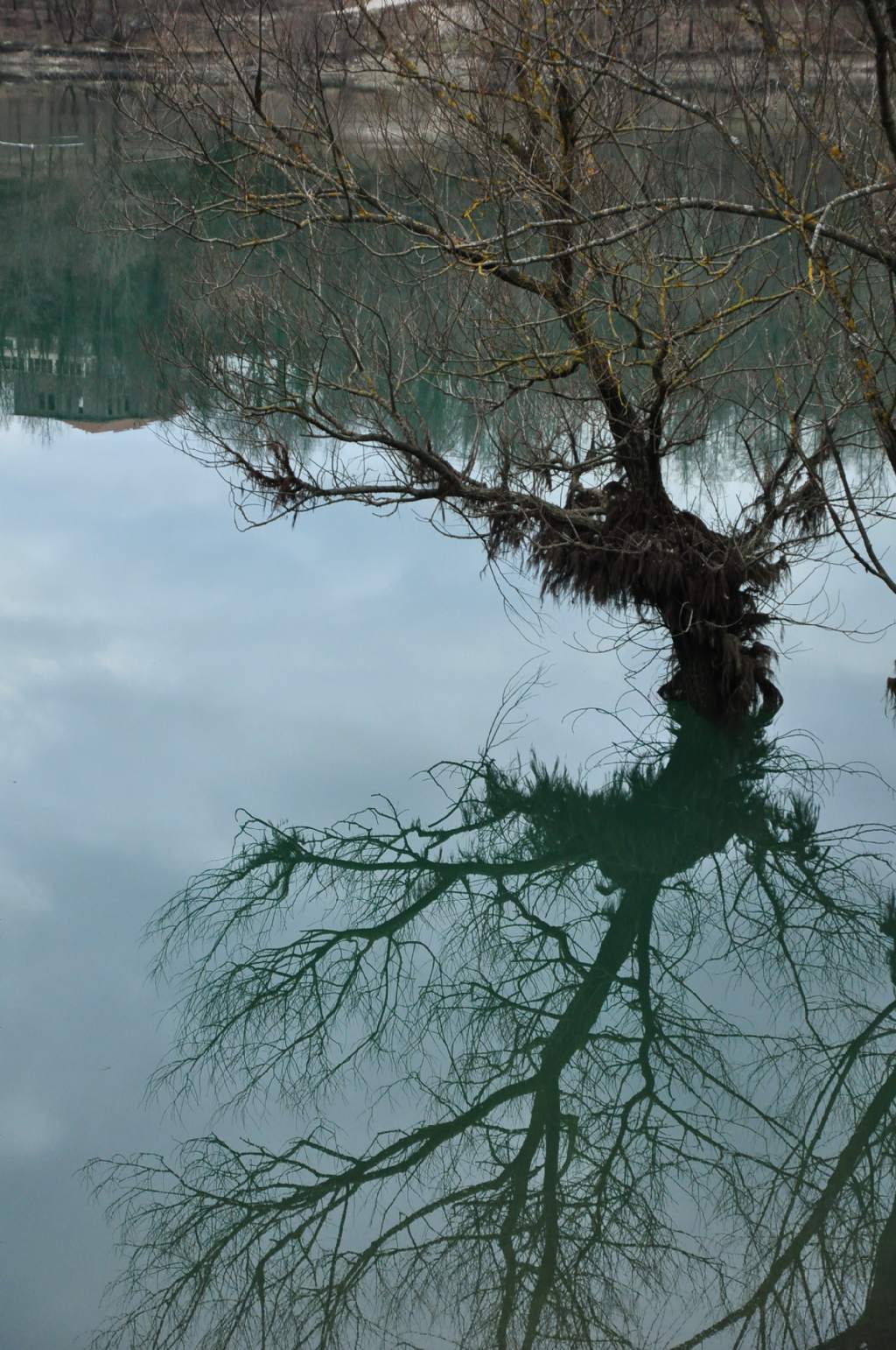 Un mondo riflesso...